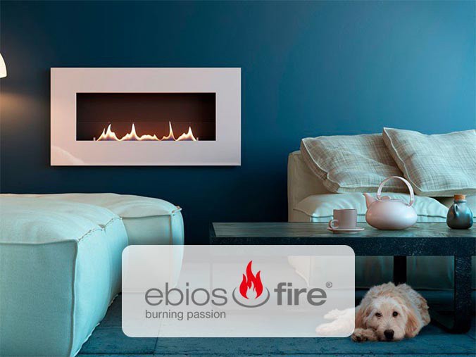 Ebios white oxford cover