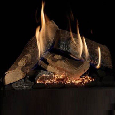 Global Truflame brenner