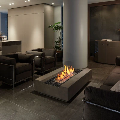 EcoSmart Cosmo 50 biopeis ildbord