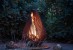 Dewdrop L Fire pit
