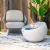 FIRENZE Biopeis Bowl – Kremhvit